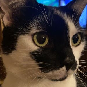 Meet your Posher, Sue